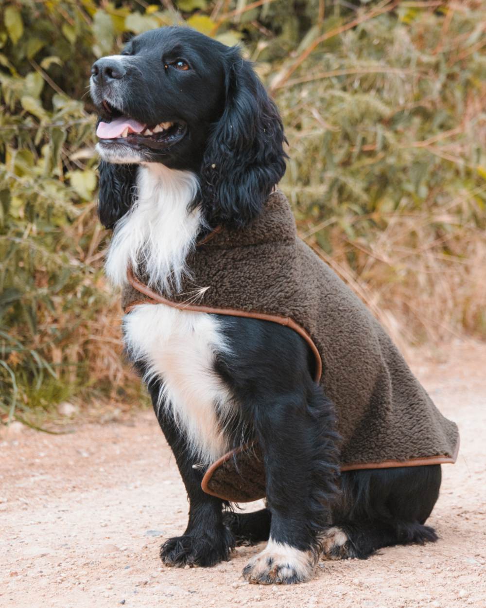 Dark Olive coloured Jack Pyke Sherpa Fleece Dog Coat on forest background #colour_dark-olive