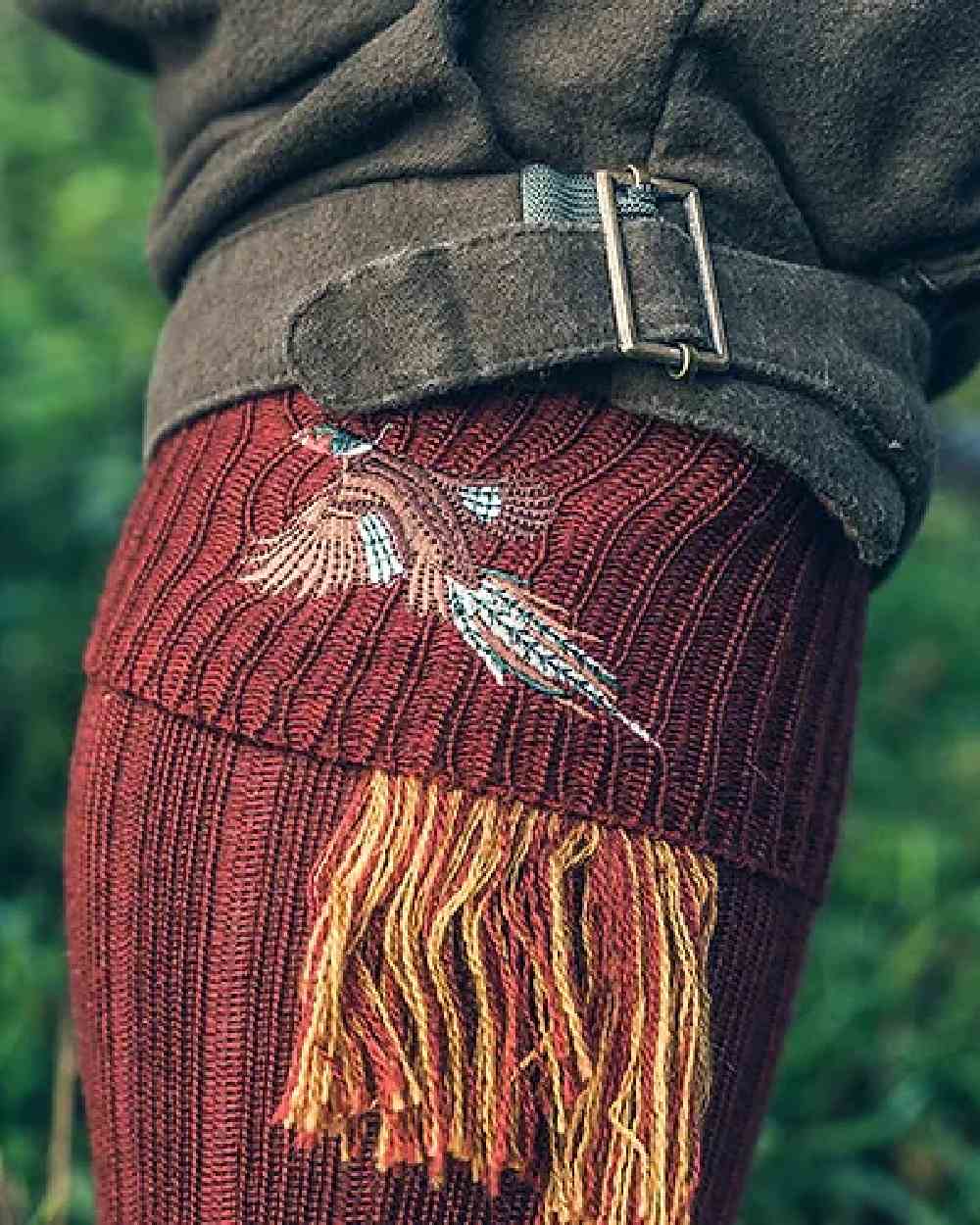 Burgundy coloured Jack Pyke Shooting Socks Pheasant on blurry background #colour_burgundy