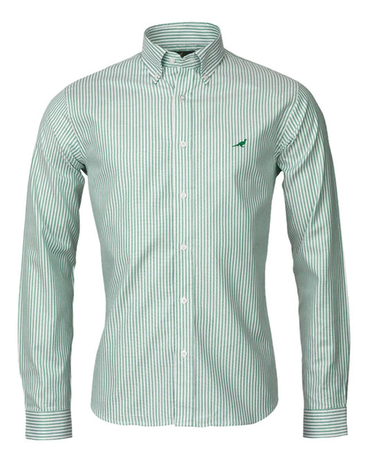 Green Coloured Laksen Mens Eton 100% Oxford Cotton Shirt on white background #colour_green