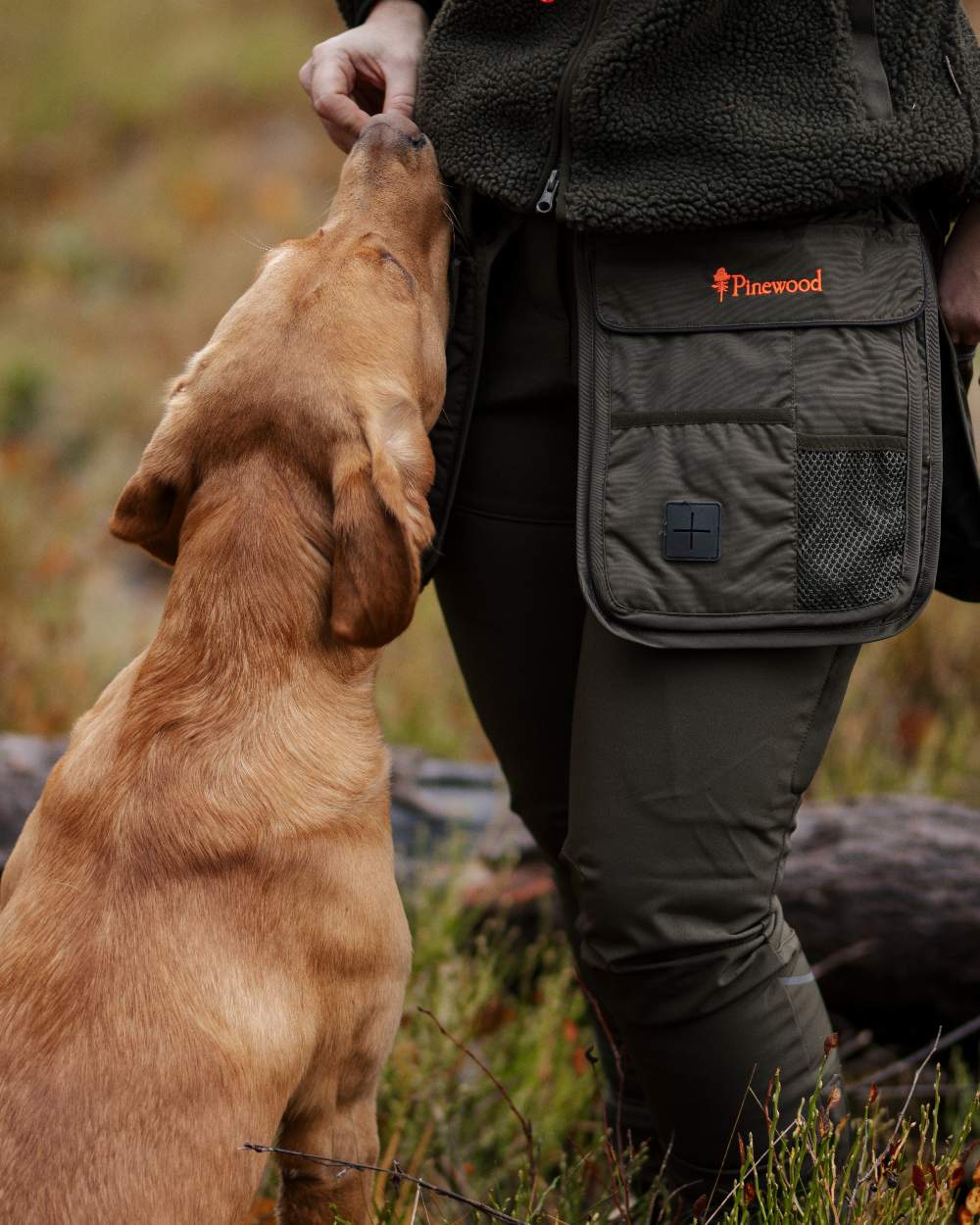 Mossgreen Black Coloured Pinewood Dog Sports Utility Belt on forest background #colour_mossgreen-black