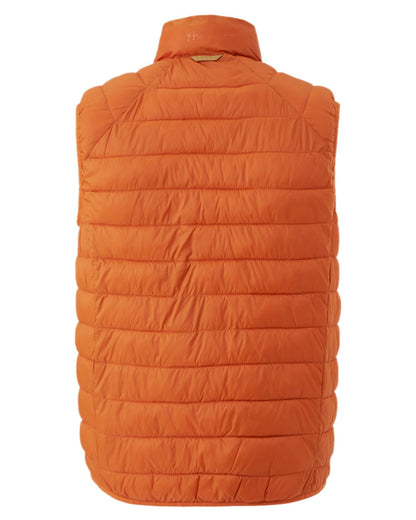 Burned Orange Coloured Pinewood Mens Abisko Insulation Vest on white background #colour_burned-orange