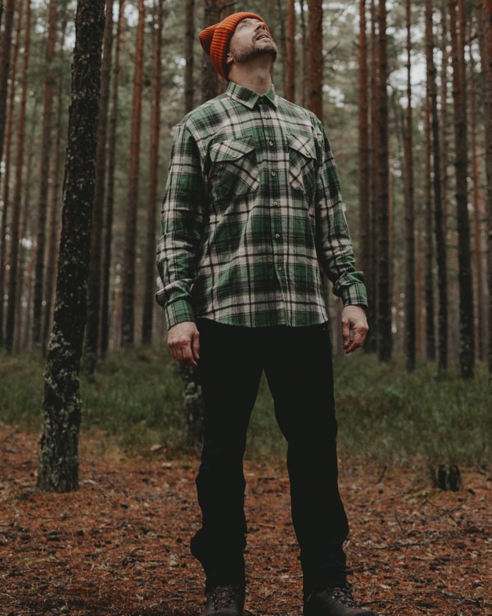 Sage Green Moss Green coloured Pinewood Mens Harjedalen Shirt on forest background #colour_sage-green-moss-green