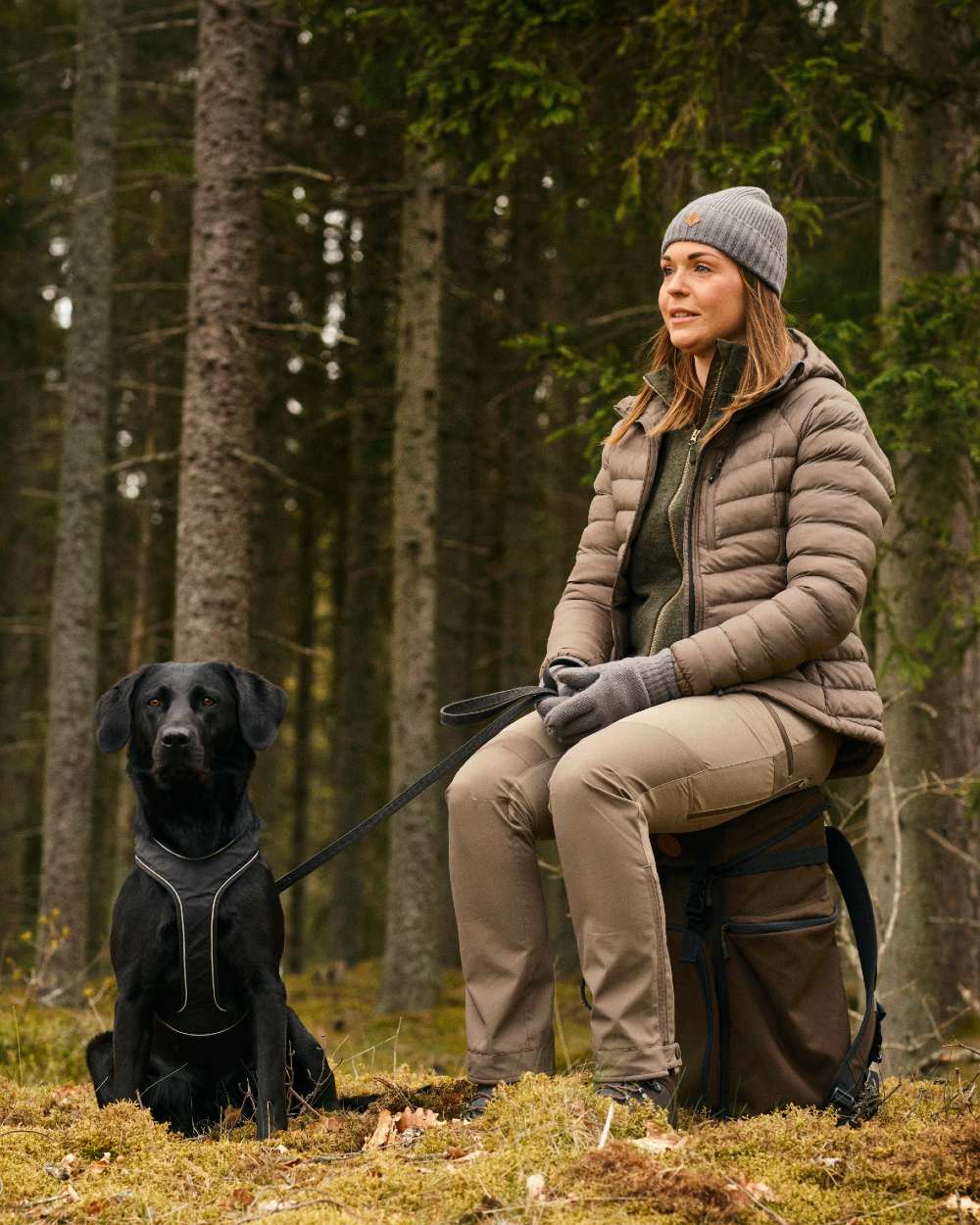 Mole Brown Coloured Pinewood Womens Abisko Brenton Trousers on forest background #colour_mole-brown