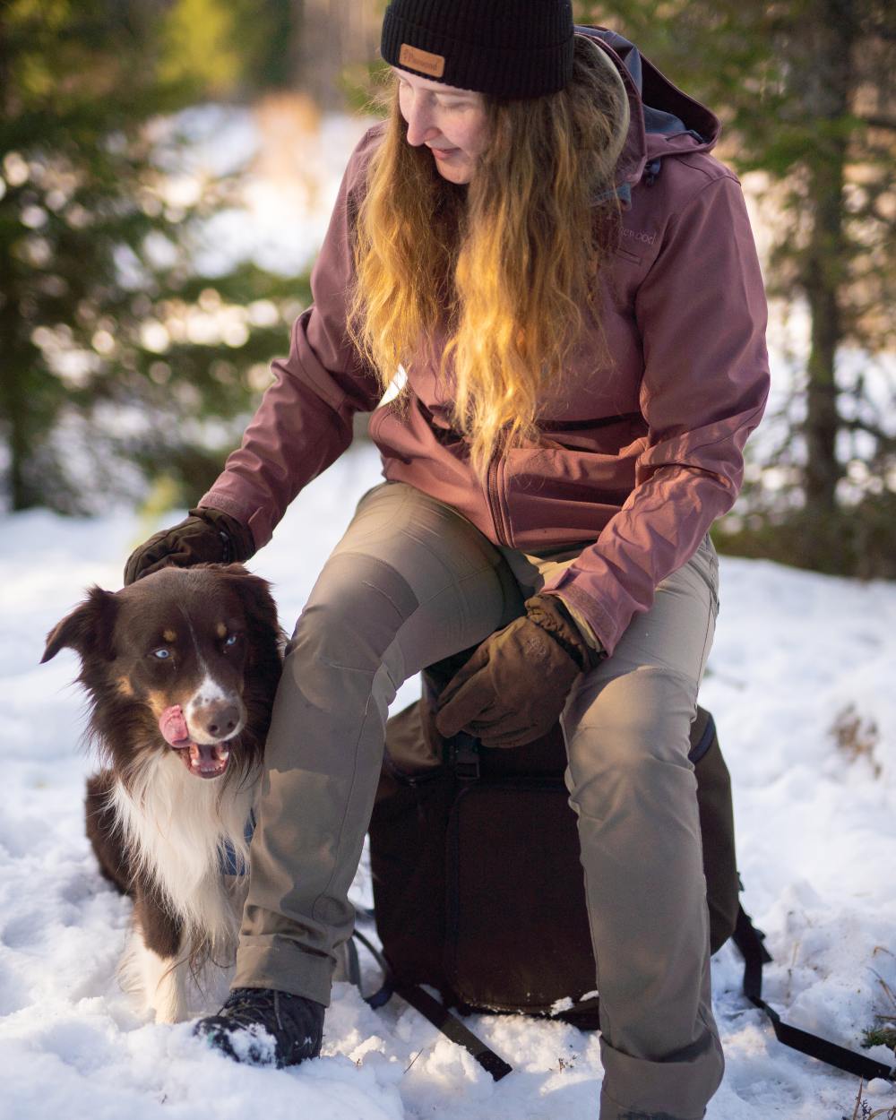 Mole Brown Coloured Pinewood Womens Abisko Brenton Trousers on forest background #colour_mole-brown