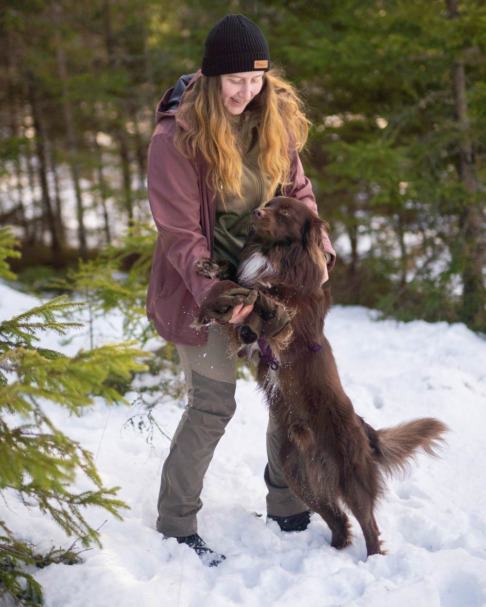 Mole Brown Coloured Pinewood Womens Abisko Brenton Trousers on forest background #colour_mole-brown