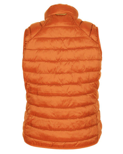 Burned Orange Coloured Pinewood Womens Abisko Insulation Vest on white background #colour_burned-orange