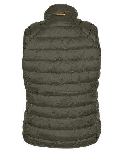 Clover Green Coloured Pinewood Womens Abisko Insulation Vest on white background #colour_clover-green