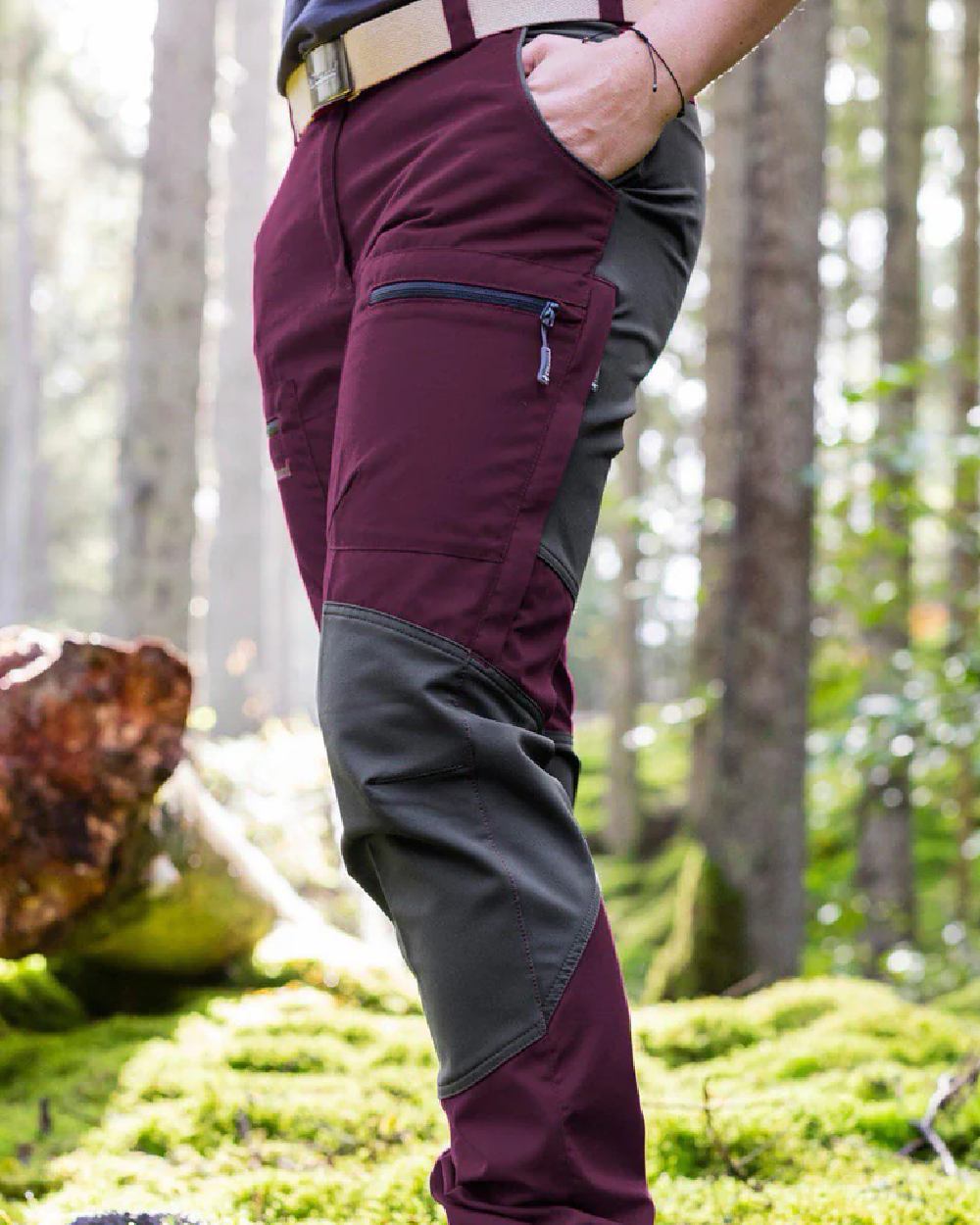Plum Dark Anthracite coloured Pinewood Womens Caribou TC Trousers on forest background #colour_plum-dark-anthracite