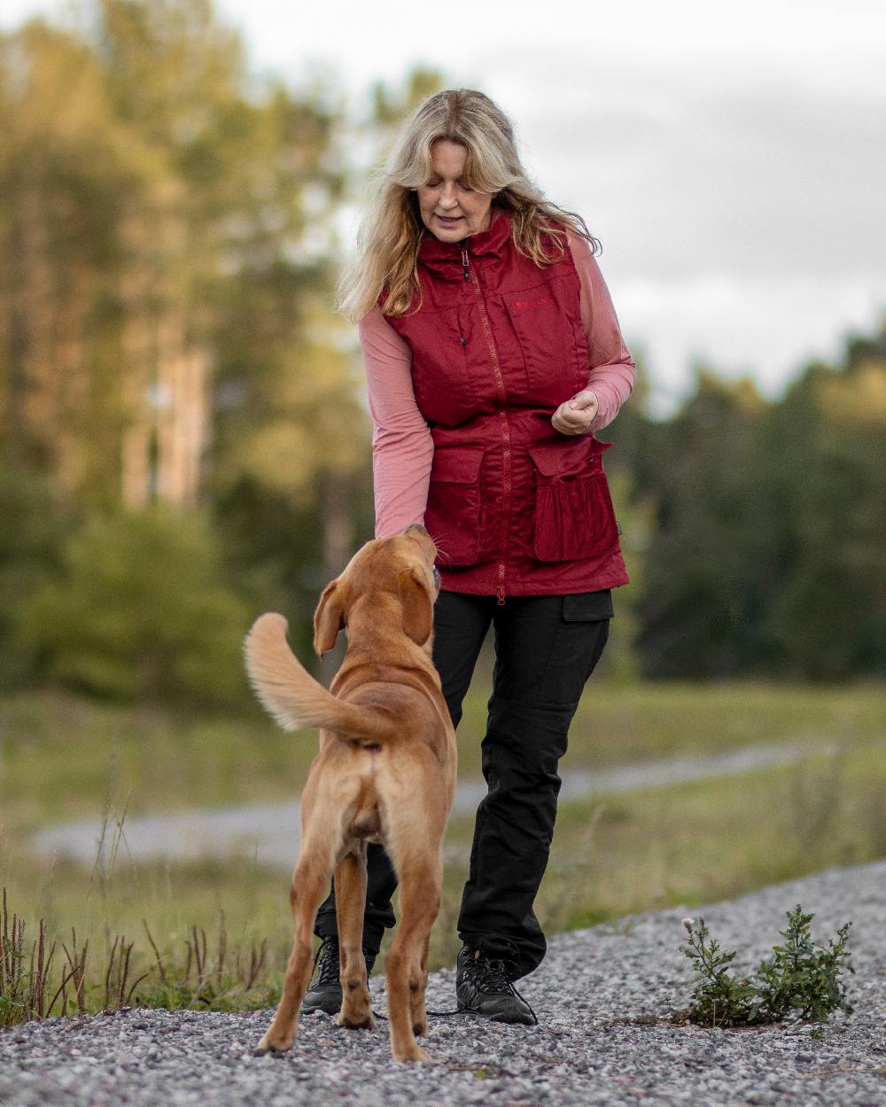 Black Coloured Pinewood Womens Dog Sports Trainer Trousers on outdoor background #colour_black