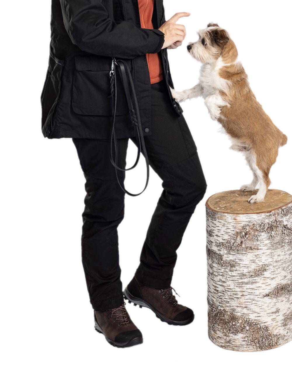 Black Coloured Pinewood Womens Dog Sports Trainer Trousers on white background #colour_black