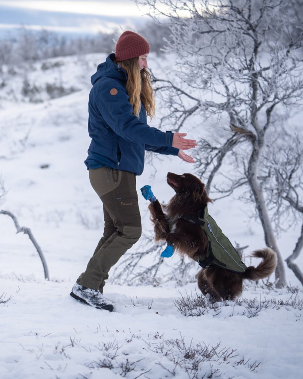 Dark Dive Coloured Pinewood Womens Finnveden Hybrid Extreme Jacket on snow background #colour_dark-dive
