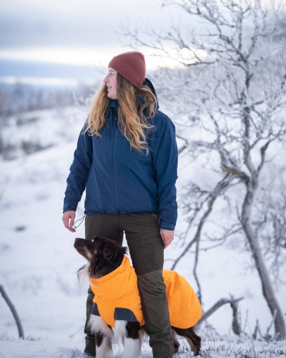 Dark Dive Coloured Pinewood Womens Finnveden Hybrid Extreme Jacket on snow background #colour_dark-dive