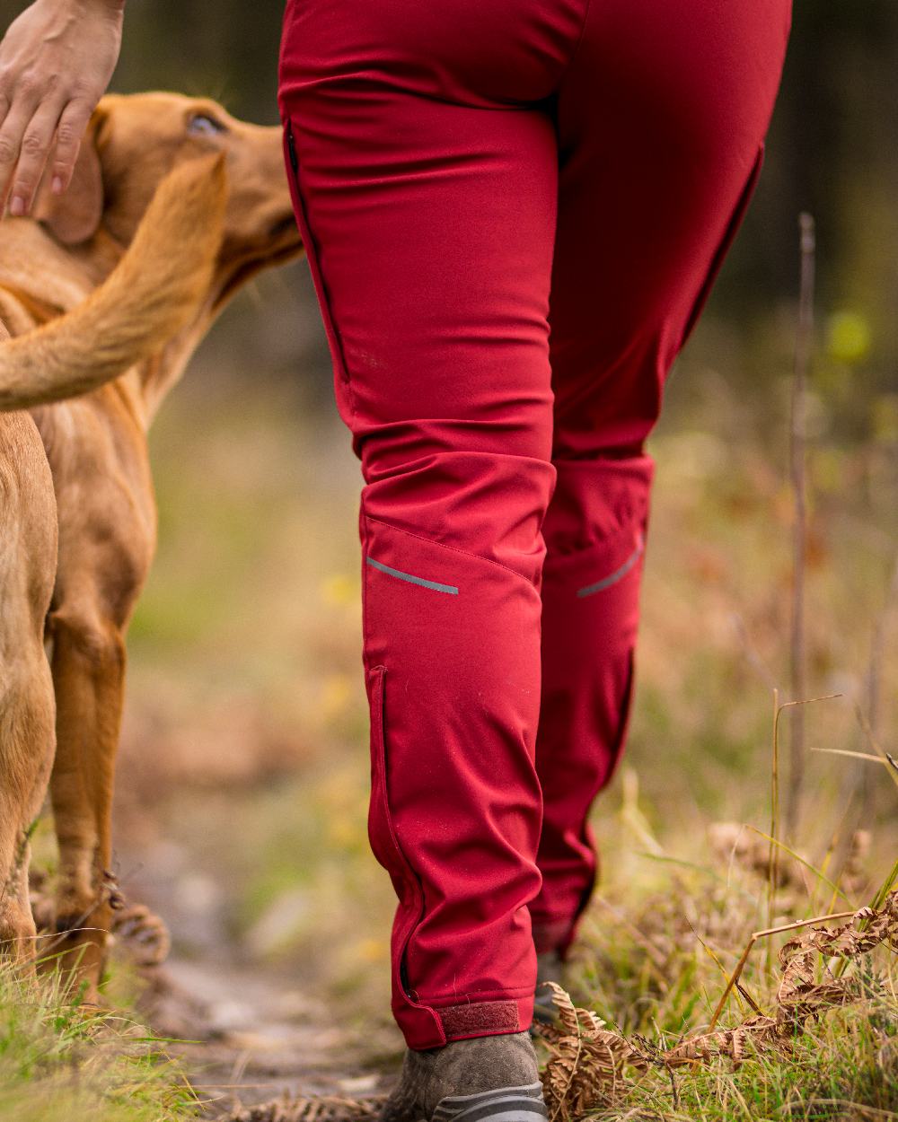 Dark Tomato Coloured Pinewood Womens Wilda Stretch Shell Trousers on outdoor background #colour_dark-tomato