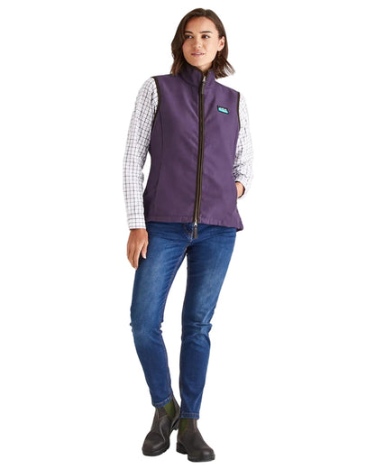 Nightshade Coloured Ridgeline Ladies Monarch Gilet on white background #colour_nightshade