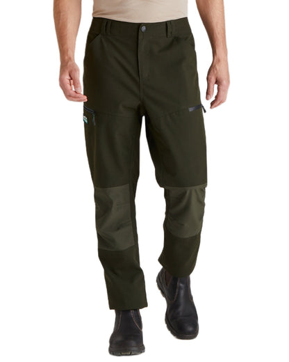 Deep Forest coloured Ridgeline Mens Cambrian Trousers on white background #colour_deep-forest