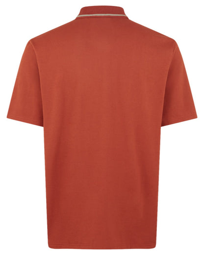Russet coloured Ridgeline Mens Kilworth Polo Shirt on white background #colour_russet
