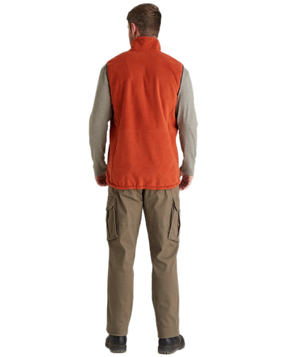 Russet Coloured Ridgeline Mens Kodiak Gilet on white background #colour_russet