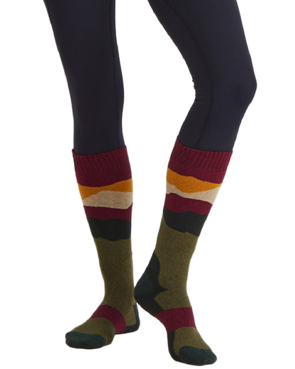 Berry Stripes Coloured Ridgeline Merino Wool Full Length Socks on white background #colour_berry-stripes