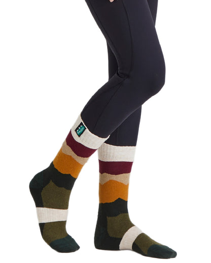 Berry Stripes Coloured Ridgeline Merino Wool Mid Length Socks on white background #colour_berry-stripes