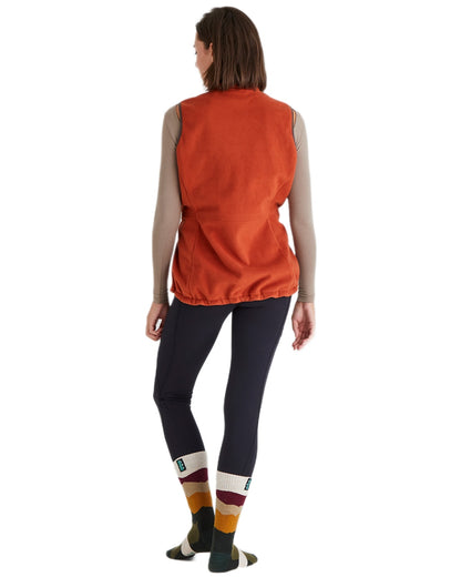 Berry Stripes Coloured Ridgeline Merino Wool Mid Length Socks on white background #colour_berry-stripes
