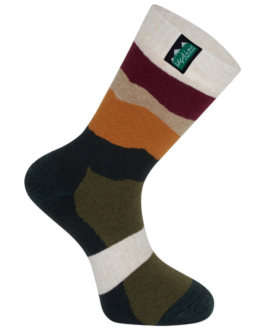 Berry stripes coloured Ridgeline Merino Wool Socks Mid Length on white background #colour_berry-stripes