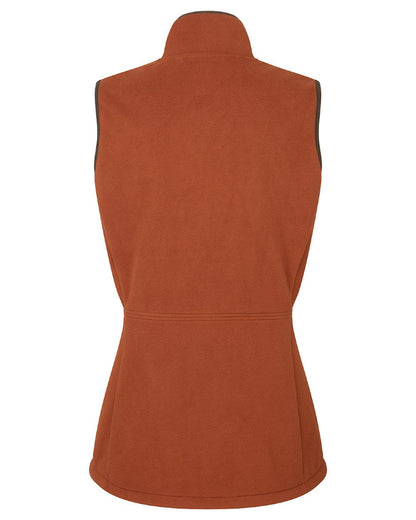 Russet coloured Ridgeline Womens Kodiak Gilet on white background #colour_russet