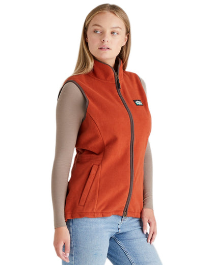 Russet coloured Ridgeline Womens Kodiak Gilet on white background #colour_russet