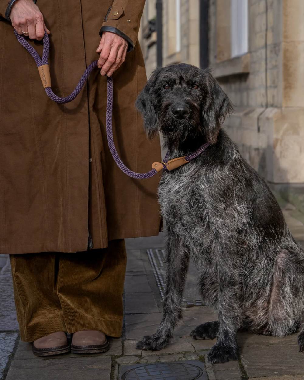 Blackberry Coloured Ruff & Tumble Slip Dog Leads on outdoor background #colour_blackberry