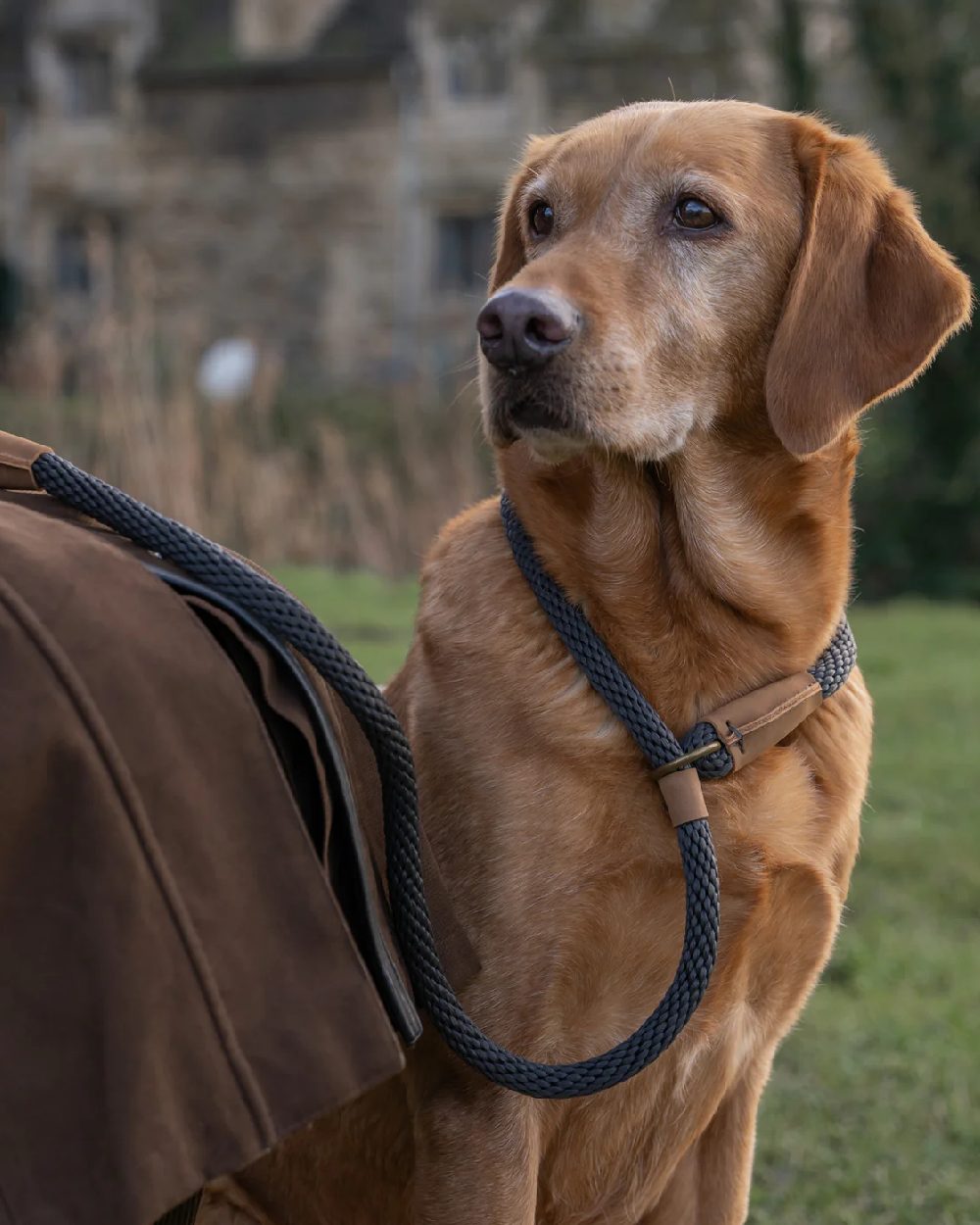 Charcoal Coloured Ruff & Tumble Slip Dog Leads on outdoor background #colour_charcoal