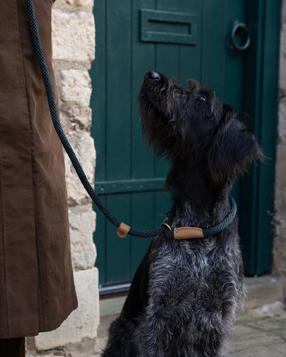 Forest Coloured Ruff & Tumble Slip Dog Leads on outdoor background #colour_forest