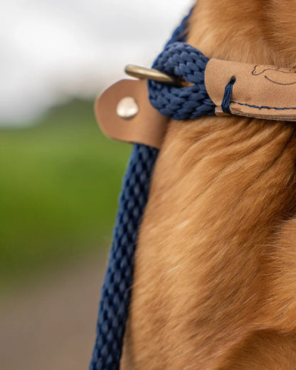 French Navy Coloured Ruff & Tumble Slip Dog Leads on outdoor background #colour_french-navy