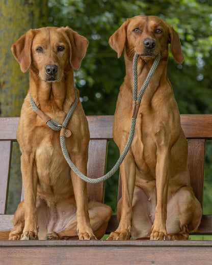 Moss Coloured Ruff & Tumble Slip Dog Leads on outdoor background #colour_moss