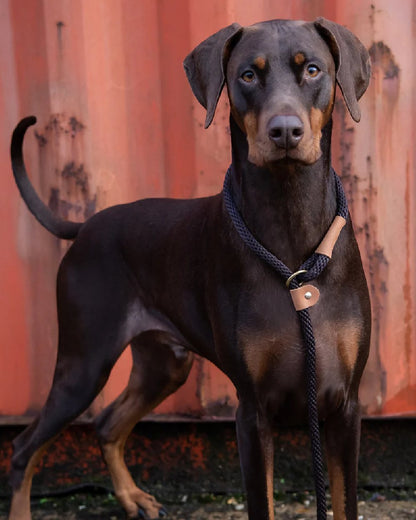 Mud Coloured Ruff & Tumble Slip Dog Leads on outdoor background #colour_mud