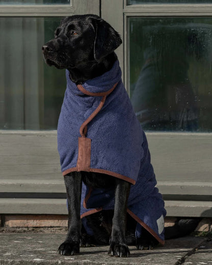 French Navy coloured Ruff & Tumble Country Dog Drying Coat on black dog sat outside #colour_french-navy