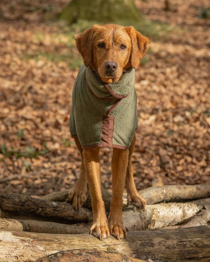 Moss coloured Ruff & Tumble Country Dog Drying Coat on ginger dog outside #colour_moss
