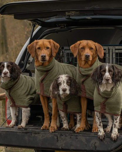 Moss coloured Ruff & Tumble Country Dog Drying Coat on group of dogs in car boot #colour_moss