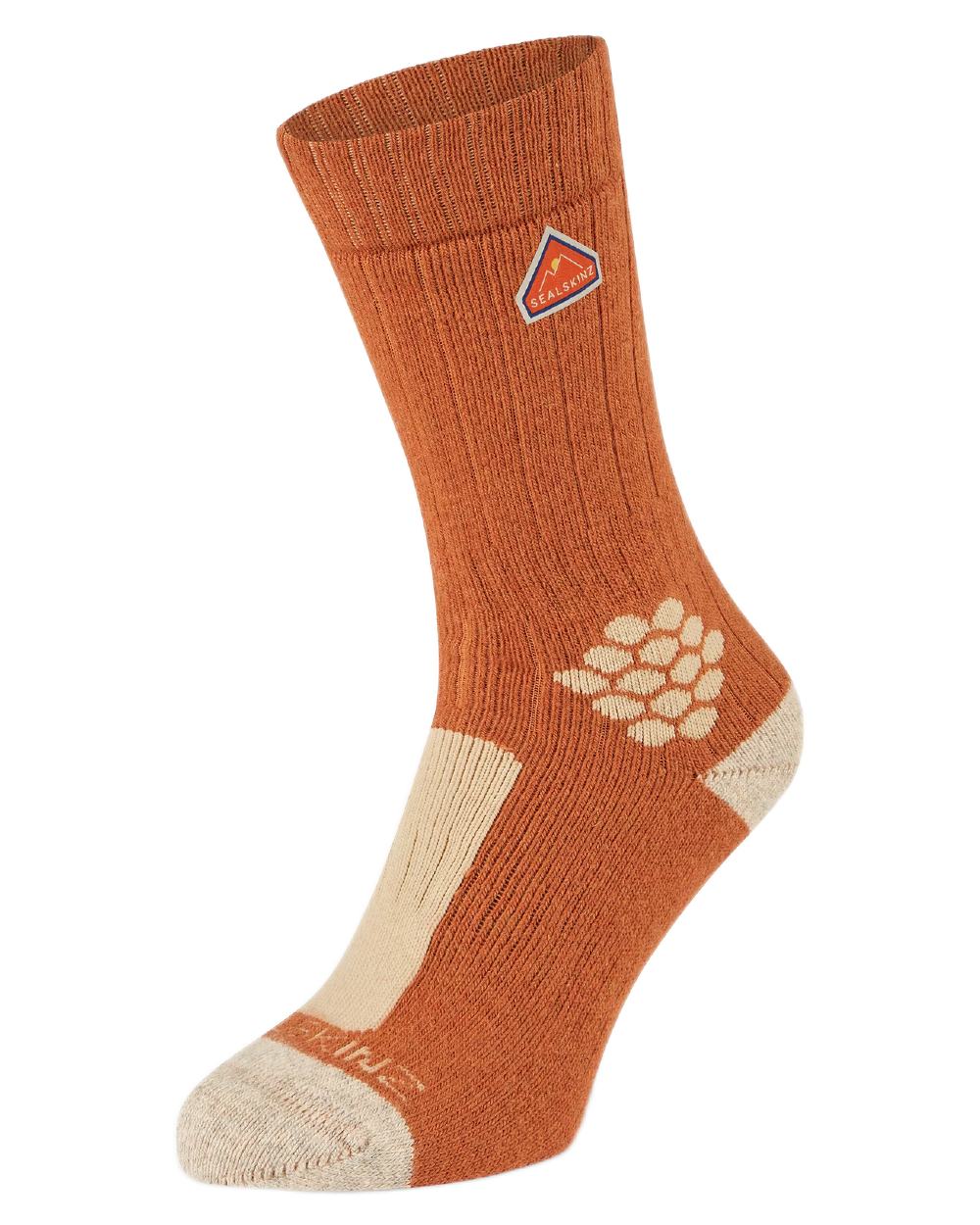 Orange Coloured Sealskinz Scarning Wool Mid Length Twisted Hiking Sock on white background #colour_orange