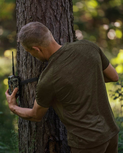 Pine Green Coloured Seeland Active Short Sleeve T-Shirt on forest background #colour_pine-green