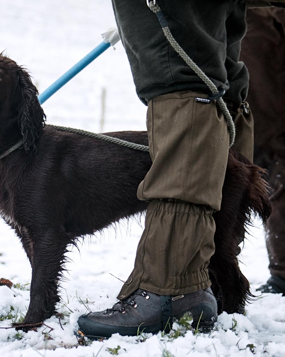 Shaded Olive Coloured Seeland Buckthorn Gaiters on snow background #colour_shaded-olive