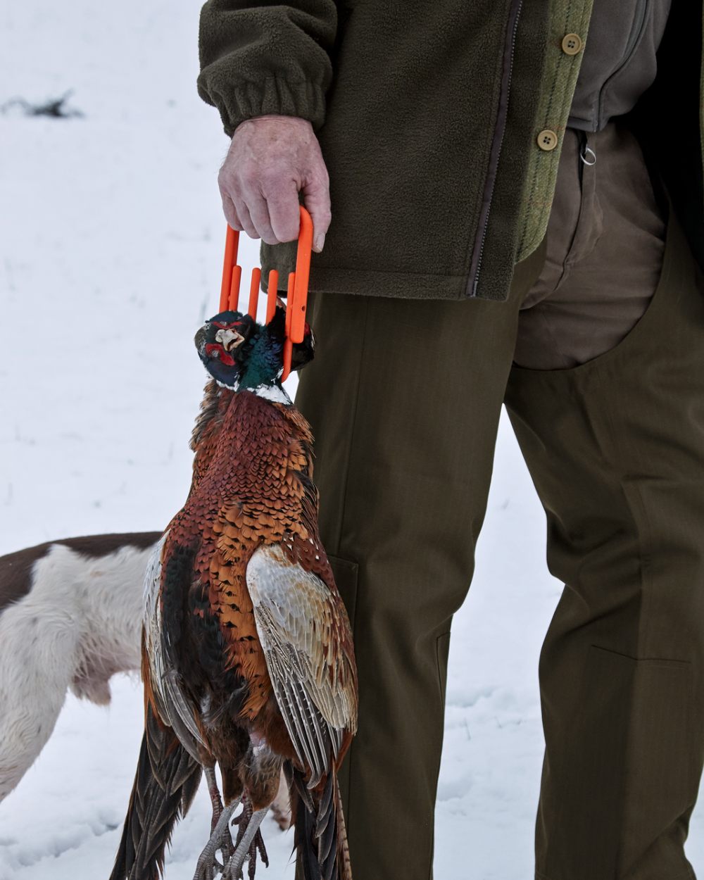 Shaded Olive Coloured Seeland Buckthorn Treggings on snow background #colour_shaded-olive