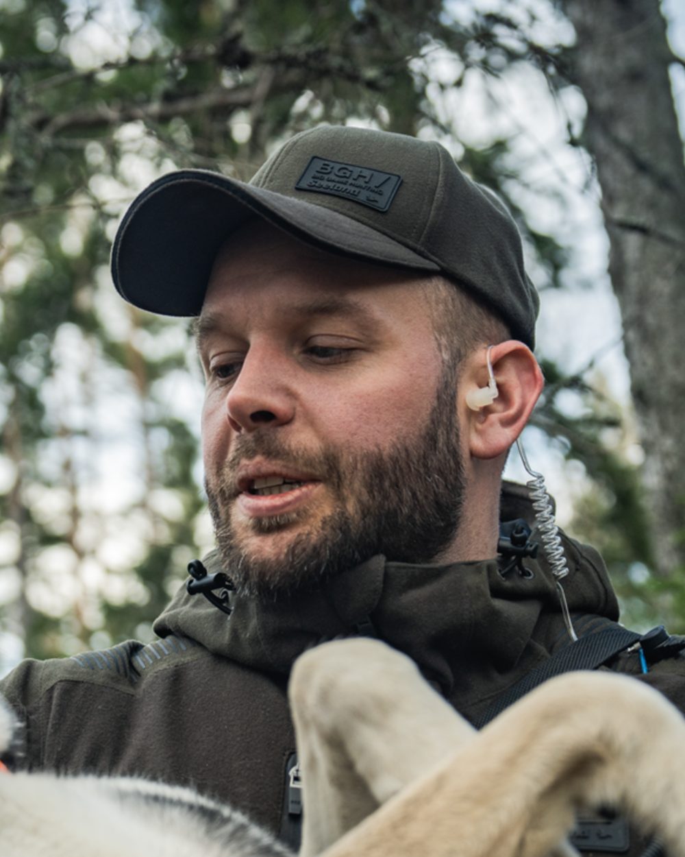 Pine Green coloured Seeland Chaser BGH Cap on forest background #colour_pine-green