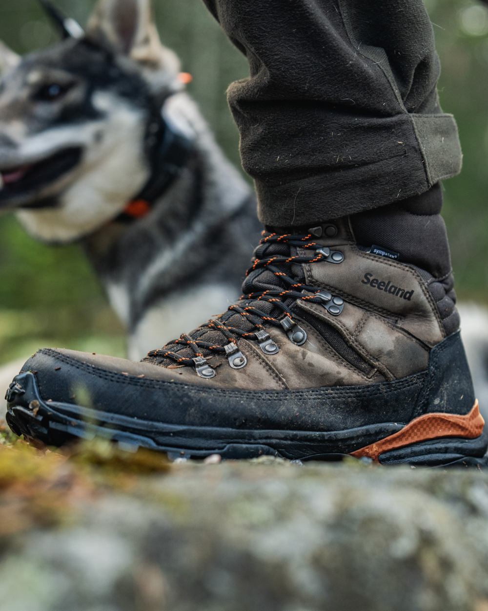 Dark Brown coloured Seeland Enduro Tracker High Boots on forest background #colour_dark-brown