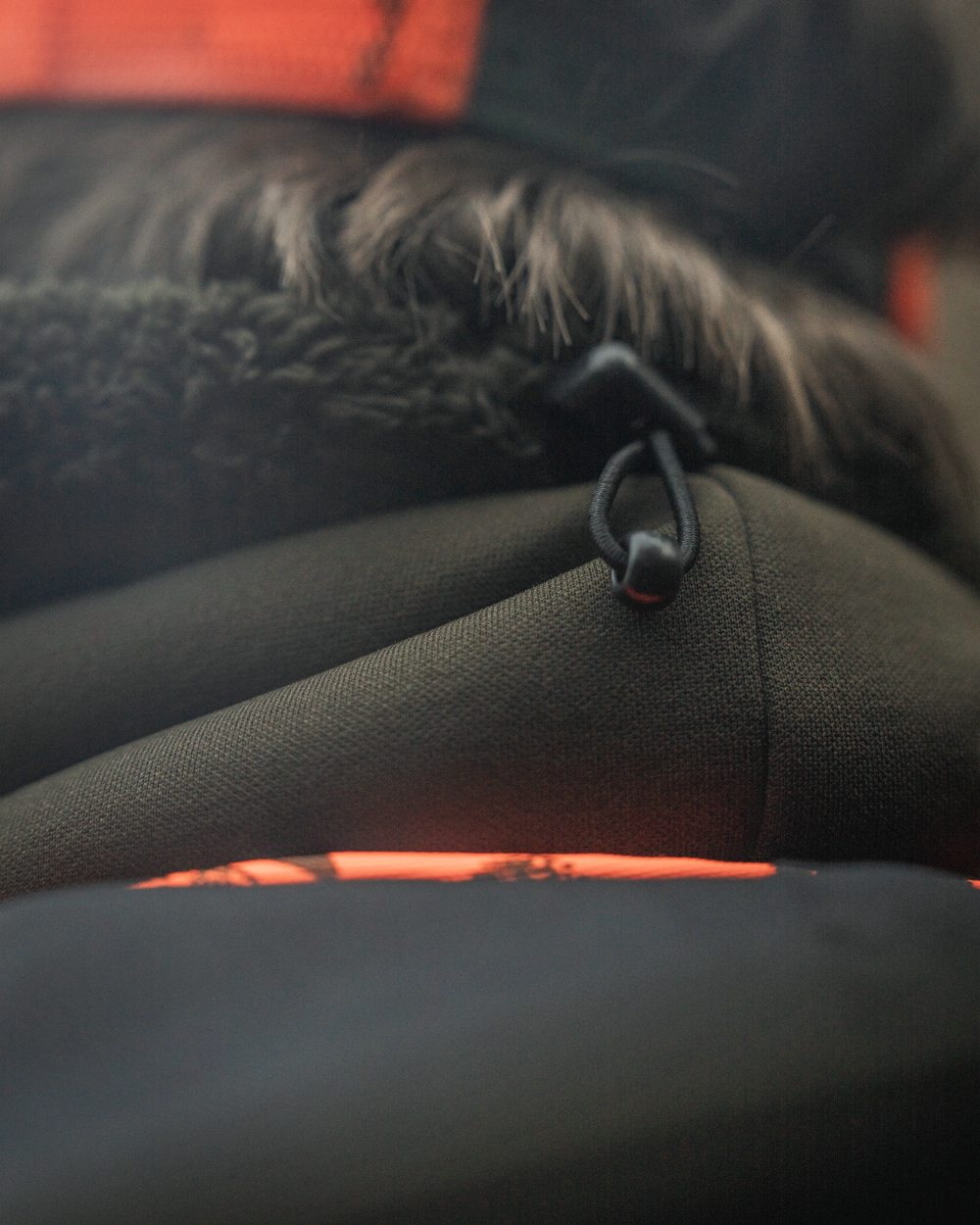 Pine Green coloured Seeland Iron Neckgaiter on forest background #colour_pine-green