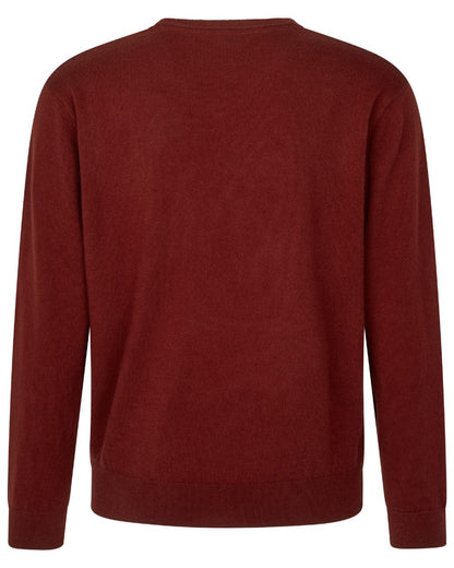 Merlot Coloured Seeland Mens Pine V-Neck Pullover on white background #colour_merlot
