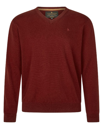 Merlot Coloured Seeland Mens Pine V-Neck Pullover on white background #colour_merlot