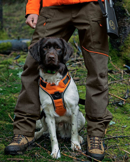 Pine Green Hi-Vis Orange Coloured Seeland Venture Trousers on forest background #colour_pine-green-hi-vis-orange