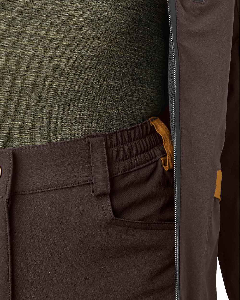 Dark Brown Coloured Seeland Womens Dog Active Trousers on white background #colour_dark-brown