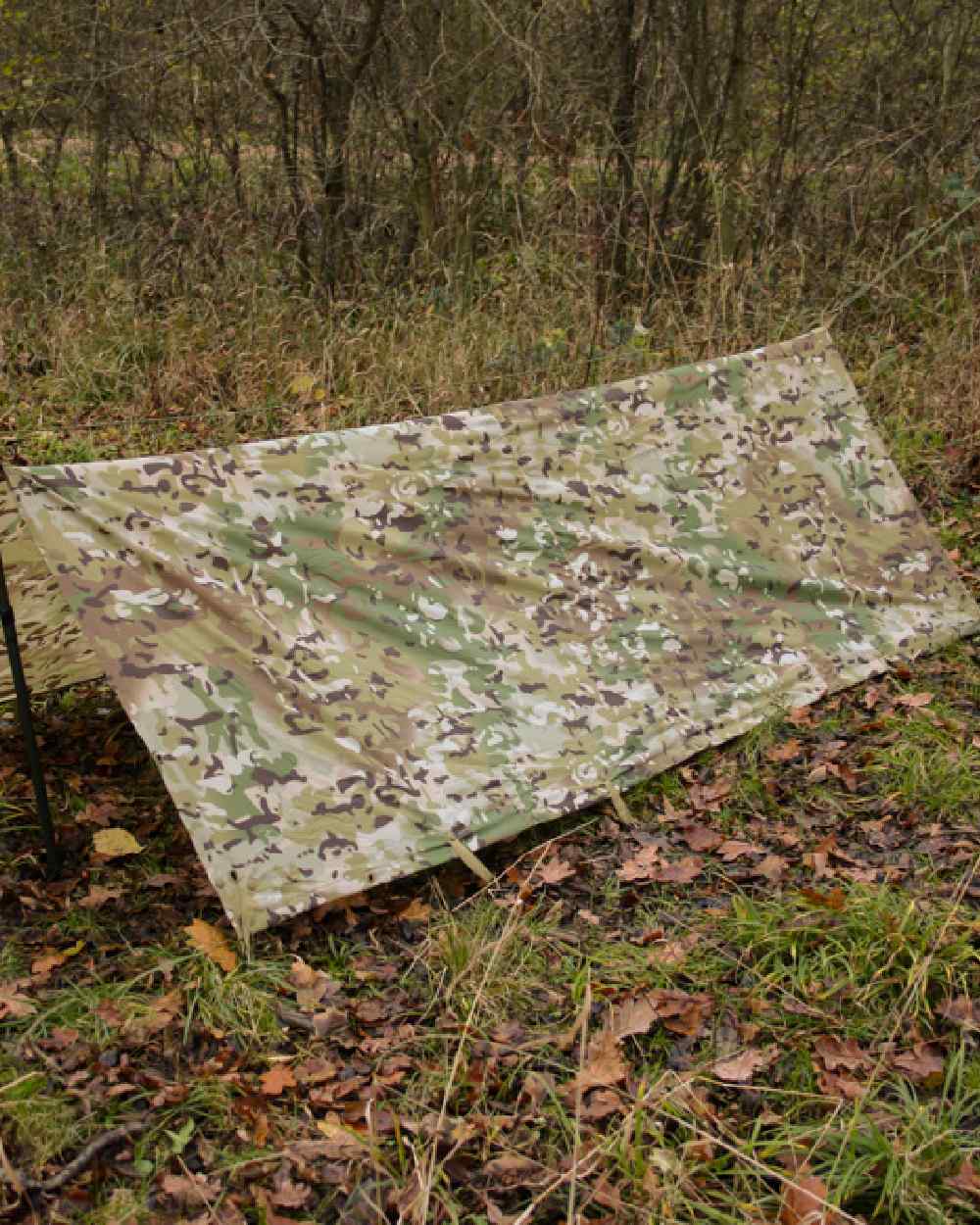 VCAM Coloured Viper Basha on forest background #colour_vcam
