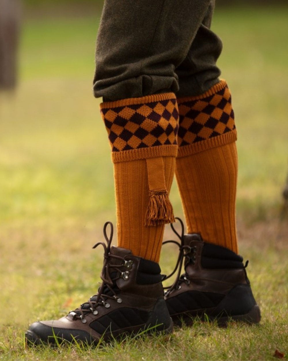 Ochre Coloured House of Cheviot Chessboard Socks On A Field Background #colour_ochre