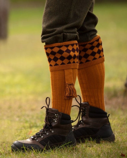 Ochre Coloured House of Cheviot Chessboard Socks On A Field Background #colour_ochre